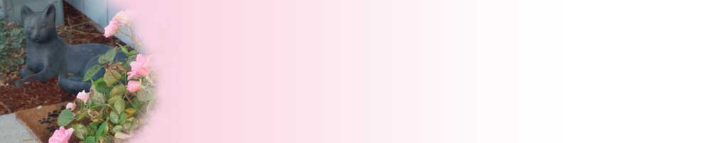 header pink